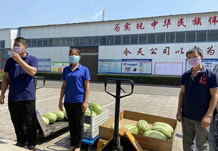 奇异果体育集团组织开展夏日送清凉系列活动