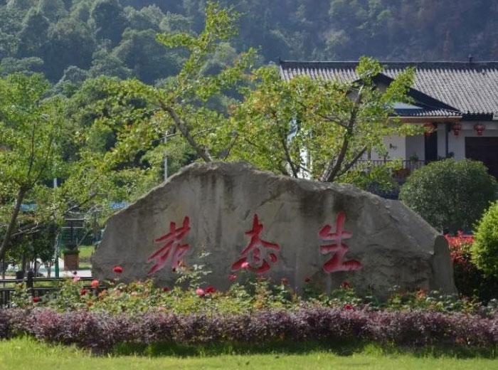生态工厂 幸福奇异果体育｜奇异果体育集团开展丰富文体活动